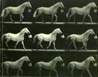 Edweard Muybridge