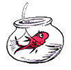 Fish in a Bowl